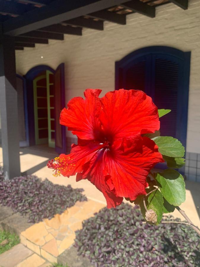 Ubatuba _ Vivencie Nossa Energia Villa Luaran gambar